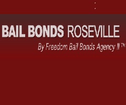 Freedom Bail Bond Roseville MI's Logo